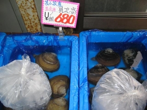 IMG_0925+1.jpg