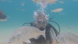 P8130059+1.jpg