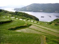 美しい日本