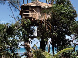 TREE HOUSE