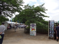 DSC01463+1.jpg
