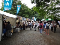 DSC01465+1.jpg