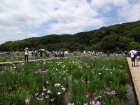 DSC01468+1.jpg